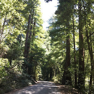 Meet your Posher, Milton